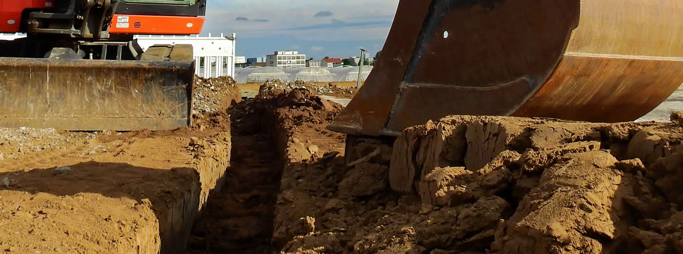 Action2 Strydhorst Ent